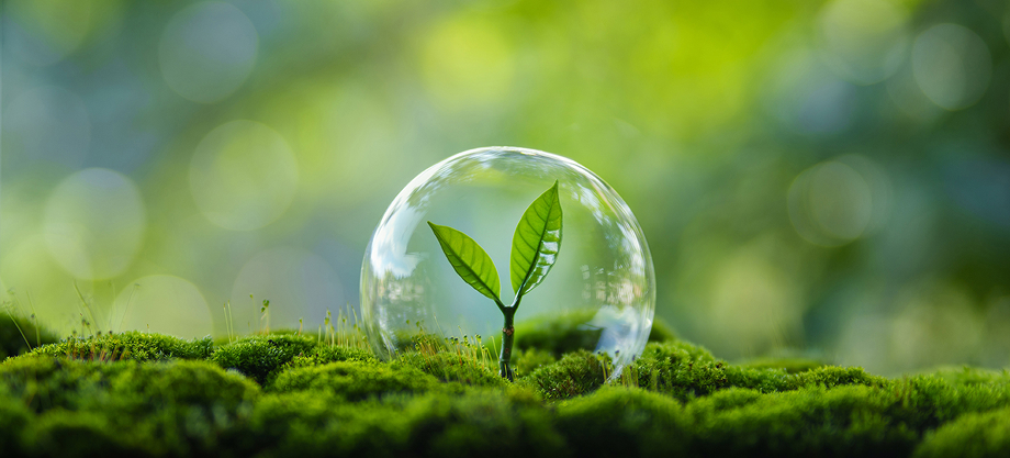 Environmental Policy — Compliance with environmental regulations and continuous environmental improvement and pollution prevention activities.